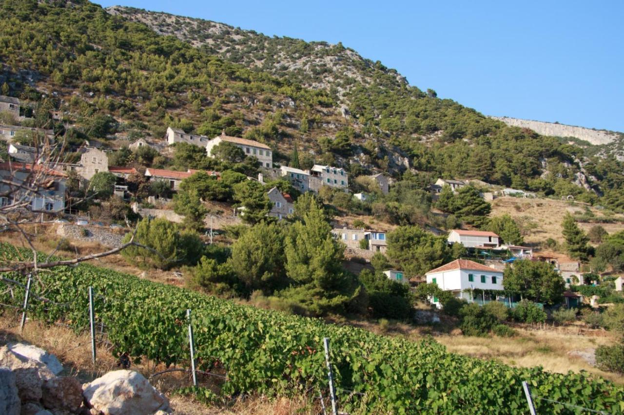 מורביצה Vineyard Cottages - Murvica מראה חיצוני תמונה